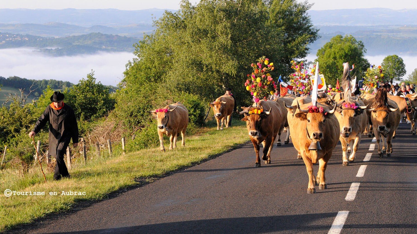 Transhumance 2025