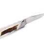 Laguiole Tribal pliant 12 cm, platines lisses, manche en bois de cerf, mitres inox brossées