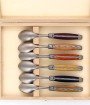 Coffret de 6 petites cuillères Laguiole, manche en bois du monde, mitres inox brossées