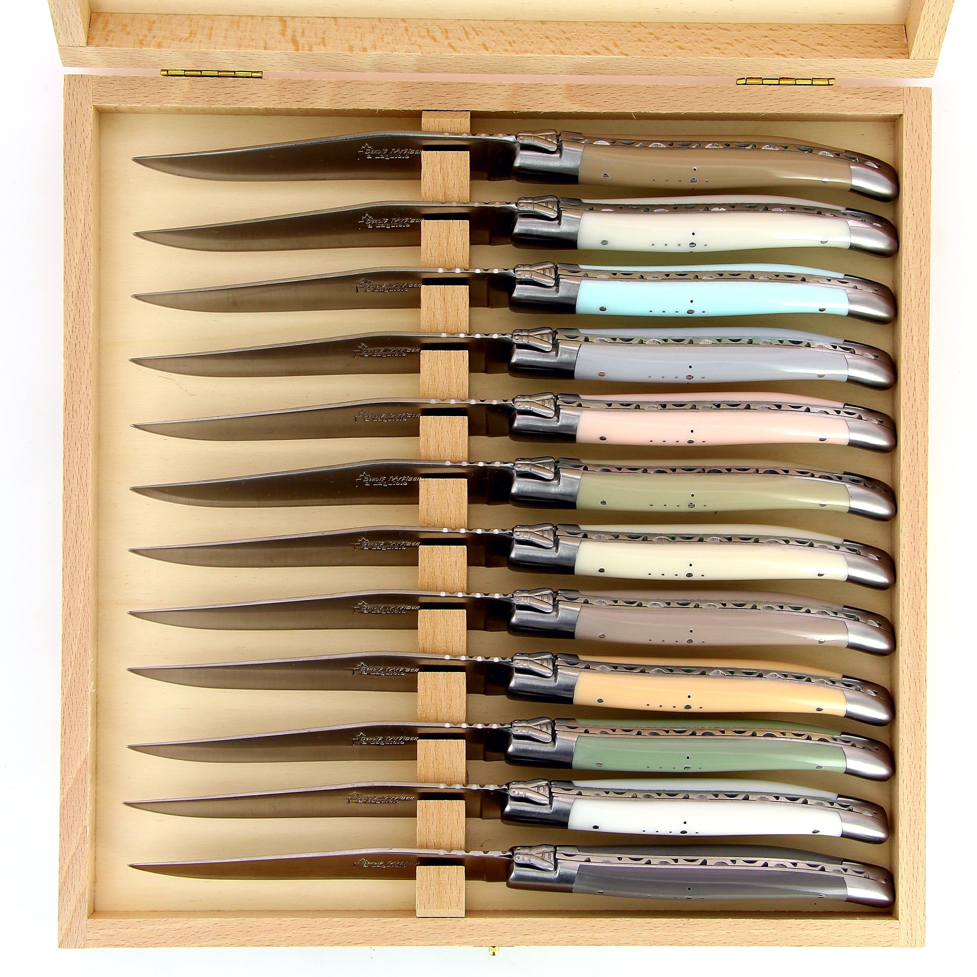 Benoit l'Artisan  Coffret de 12 couteaux de table de Laguiole, manche en  matière synthétique pastel, mitres inox brossées
