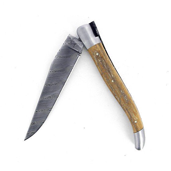 Laguiole 12 cm Abeille Forgée Double Platine manche en ivoire de mammouth et deux mitres inox lame damas inox