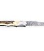 Laguiole Tribal 12 cm Abeille Forgée manche en bois de cerf et deux mitres inox platines guillochées lame damas inox