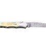 Laguiole Tribal 12 cm Abeille Forgée manche en corne de vache aubrac et deux mitres inox platines guillochées lame damas feuilleté