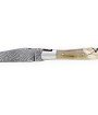 Laguiole 12 cm Abeille Forgée Double Platine manche en corne massive blonde tire-bouchon et deux mitres inox lame damas