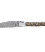 Laguiole 12 cm Abeille Forgée Double Platine manche en os de dinosaure lame damas carbone torsadé