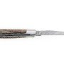 Laguiole 12 cm Abeille Forgée Double Platine manche en os de dinosaure lame damas carbone torsadé