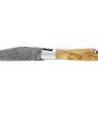 Couteau de Laguiole double platine en olivier lame damas