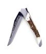Laguiole Tribal 12 cm Abeille Forgée manche en bois de cerf, deux mitres inox platines guillochées et lame brute de forge