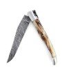 Laguiole 12 cm Abeille Forgée double platine manche en pointe de corne et deux mitres inox platines guillochées lame damas carbone