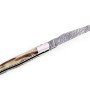 Laguiole 12 cm Abeille Forgée double platine manche en pointe de corne et deux mitres inox platines guillochées lame damas carbone