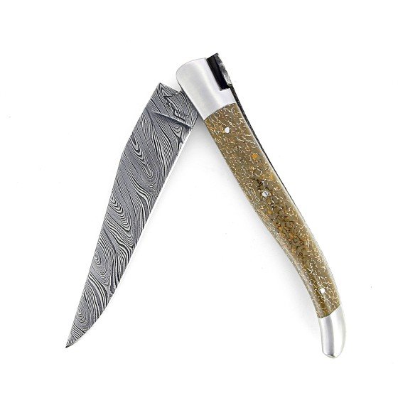 Laguiole 12 cm Abeille Forgée Double Platine manche en os de dinosaure lame damas carbone