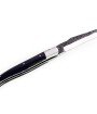 Laguiole 12 cm Abeille Forgée Double Platine manche en bois d'ebene et deux mitres inox lame brute de forge 12C27